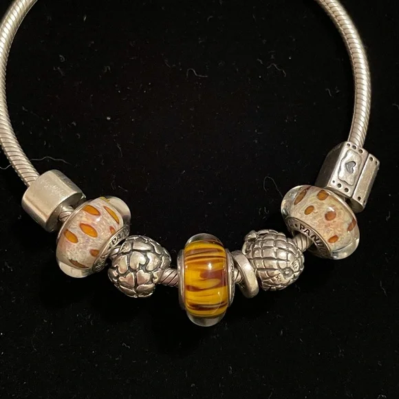 💕Pandora Retired Murano glass Charms, and bracelet